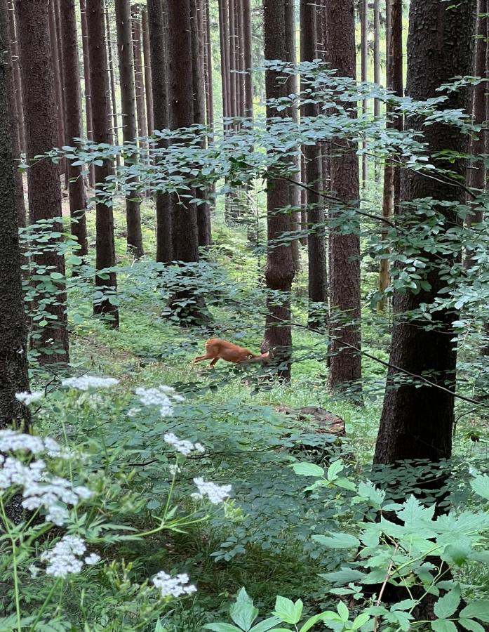 Chatka Pod Lysou Ostravice Bagian luar foto