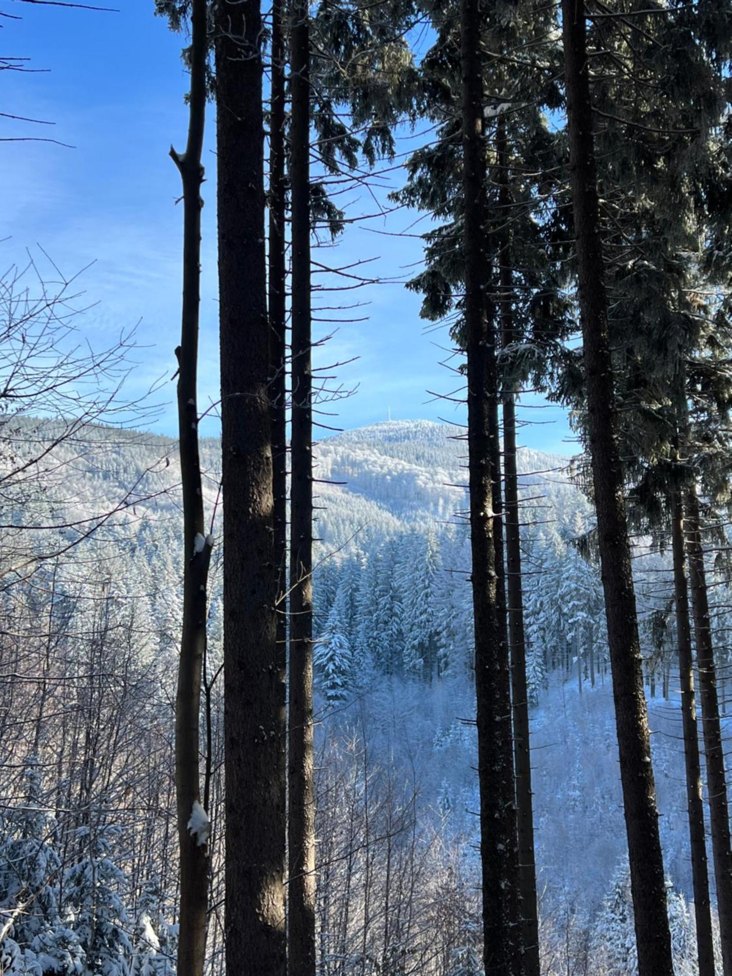 Chatka Pod Lysou Ostravice Bagian luar foto